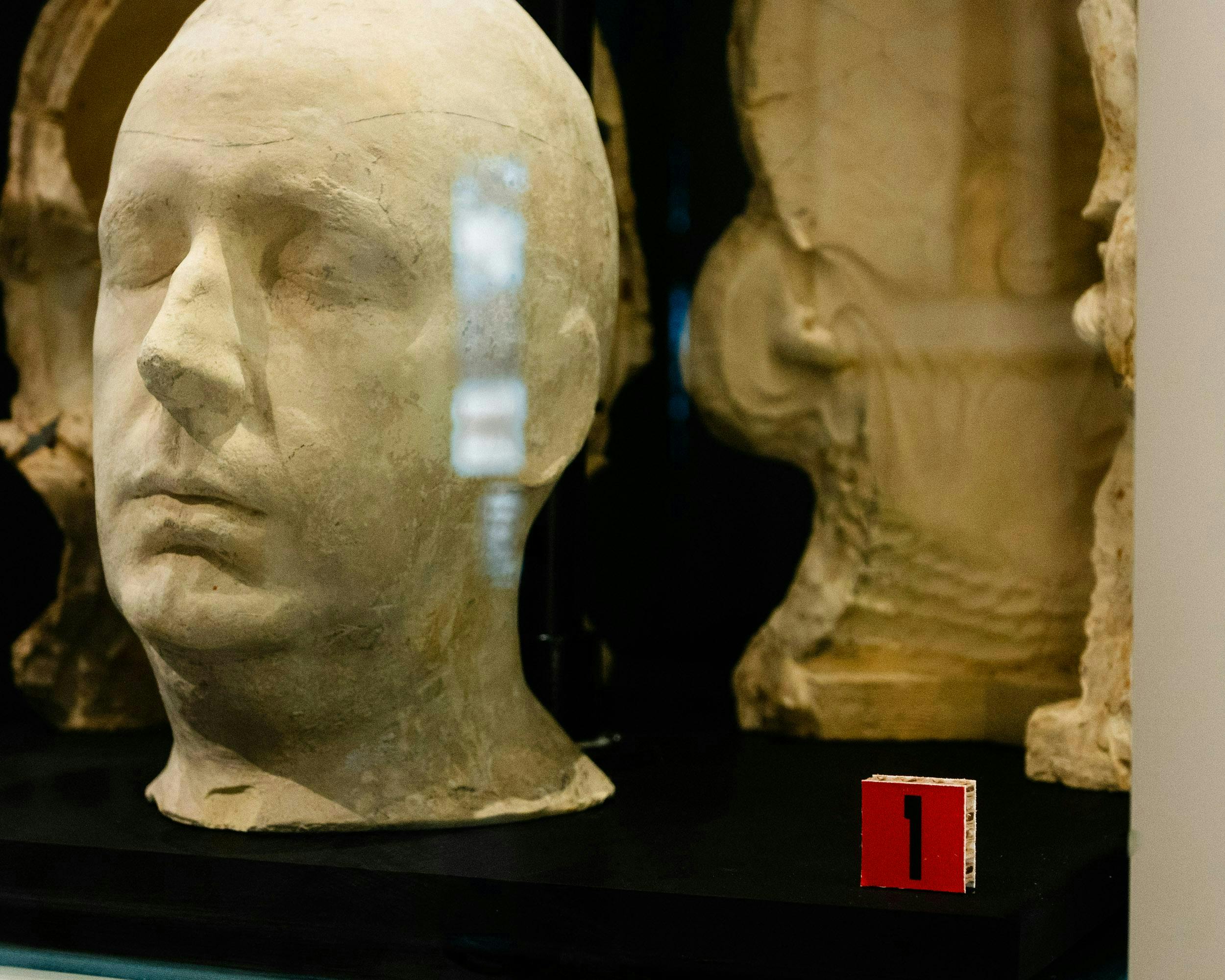 Plaster cast of a male head behind glass, labeled number 1 on a red square